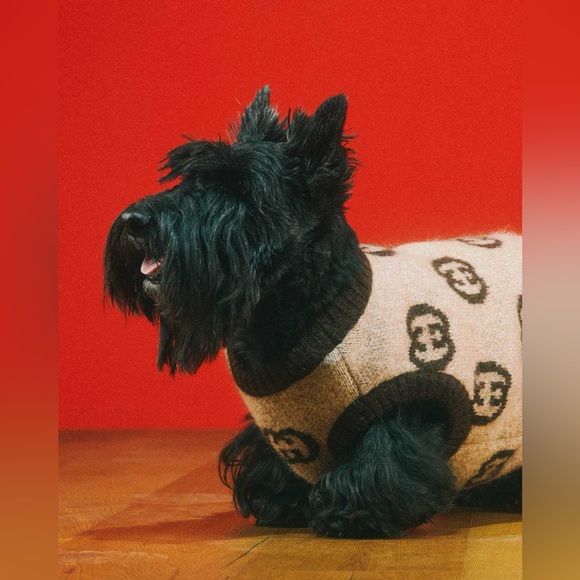 Gucci Other - NWT Authentic Gucci Pet/Dog Sweater with Interlocking G - BRAND NEW IN GUCCI BOX